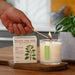 Plantable Box Seed Candles / Fresh Picked Basil