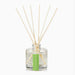 Plantable Box Reed Diffuser / Fresh Picked Basil