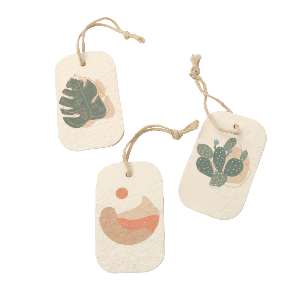 Pop Up 3pc Sponge Set / Desert