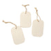 Pop Up 3pc Sponge Set / Forest