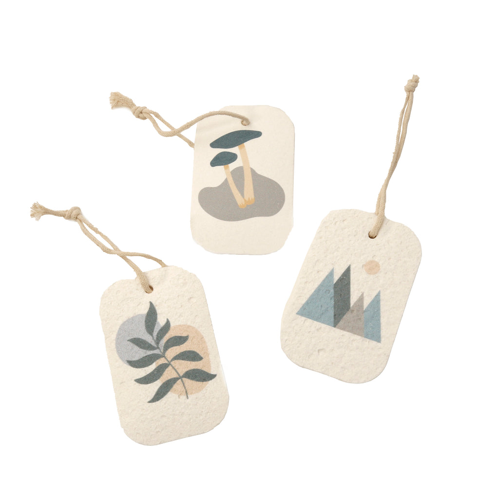 Pop Up 3pc Sponge Set / Forest
