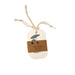 Pop Up 3pc Sponge Set / Forest