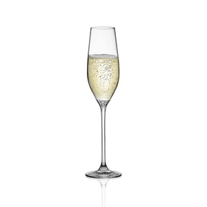 RONA Celebration Champagne Flute / Set of 6