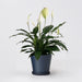 Recycled Tapered Planter 7" / Deep Blue