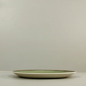 Retreat Green Melamine Dinner Plate