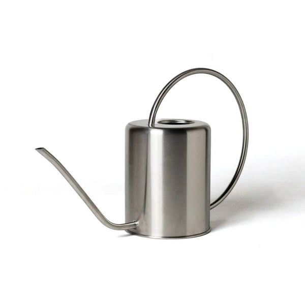 Large Stainless Steel Watering Can / Silver