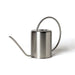 Large Stainless Steel Watering Can / Silver