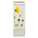 Plantable Box Reed Diffuser / Sweet Sunflower