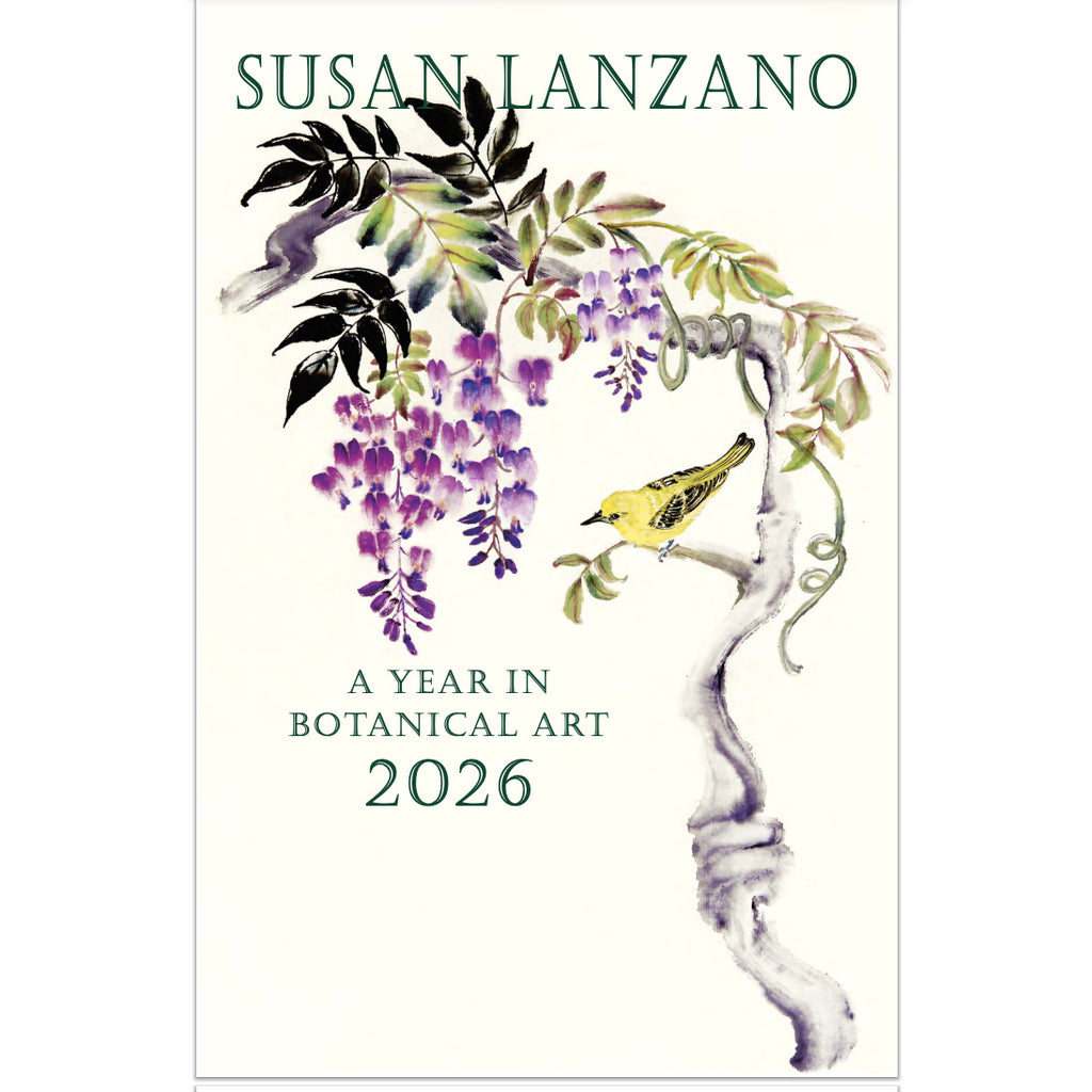 2026 A Year in Botanical Art Calendar by Susan Lanzano