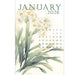 2026 A Year in Botanical Art Calendar by Susan Lanzano