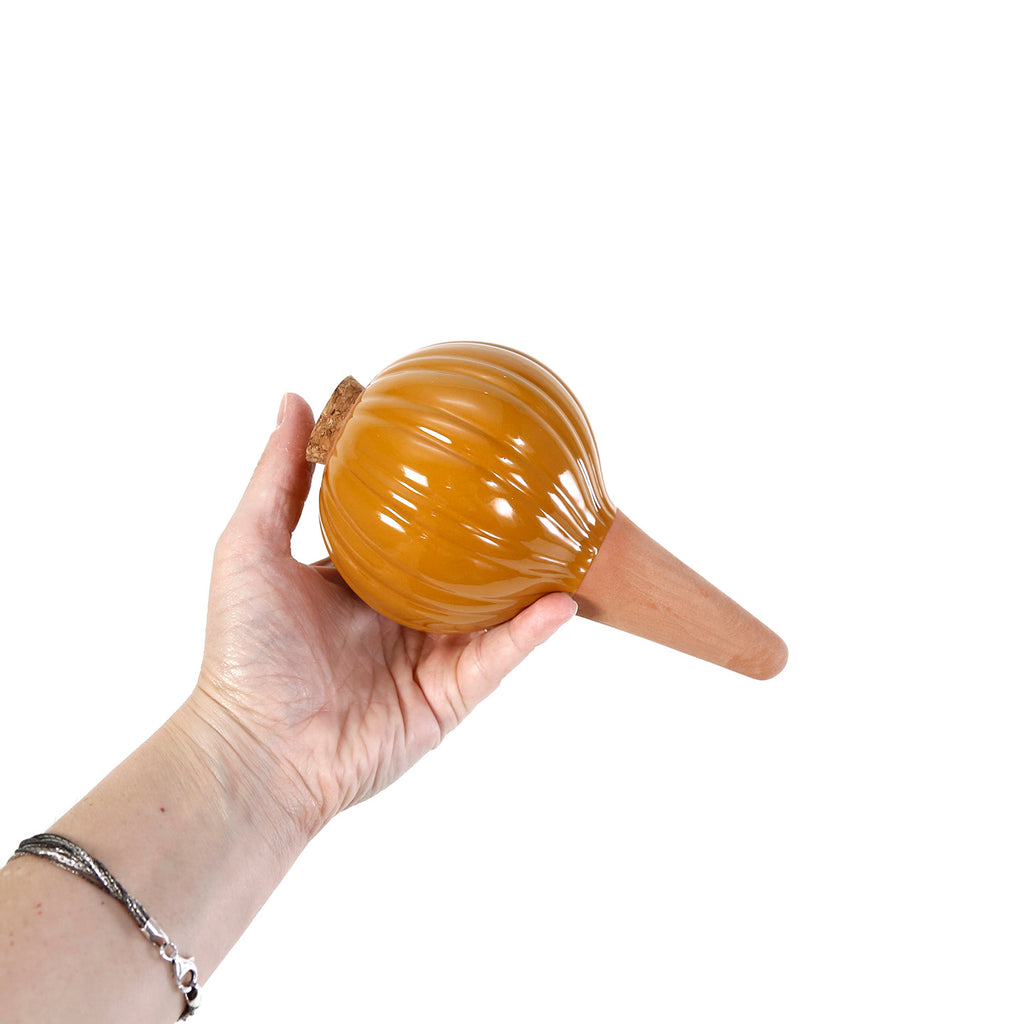 Terracotta Watering Bulb / Mustard