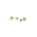 Simple 18k Gold Plated Studs / Turquoise