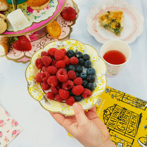 Vintage Tea Party Cake Paper Plates / 24pc Assorted