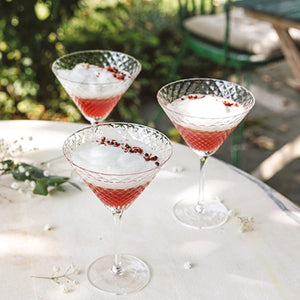 Veneziano Mixology Martini Glass