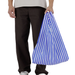 Baggu Standard Grocery Bag / Blue Painted Stripe