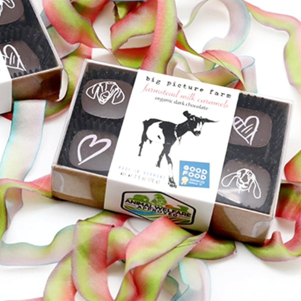 Valentines Dark Chocolate Covered Goat Milk Caramels / 6pc