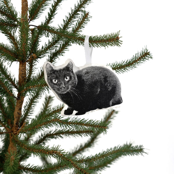 Black Cat Ornament