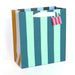 Designer Gift Bag / Cabana Stripe