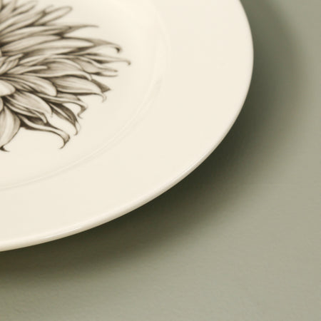 Laura Zindel Dinner Plate / Cactus Dahlia