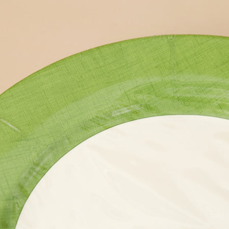 Caspari Paper Dinner Plates / Moss