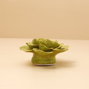 Ceramic Flower / Chartreuse Primrose