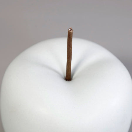Modern Ceramic Apple / Blue