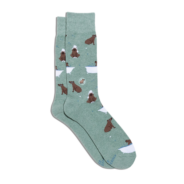 Socks That Support Mental Health / Green Capybaras