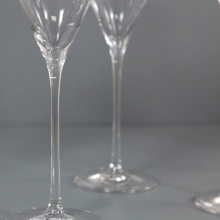 Elegant Champagne Glass / Set of 6