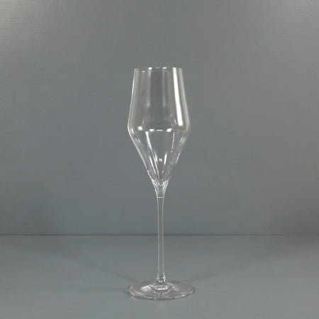 Elegant Champagne Glass / Set of 6