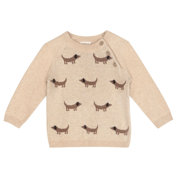 Doxie Dog Sweater