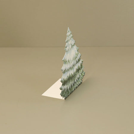 Hester & Cook Paper Place Cards / Evergreen