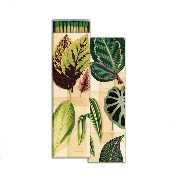 Tall Design Matchboxes / Foliage