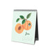 2024 Rifle Paper Fruit Stand Desk Calendar FINAL SALE