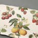Fruitstand Melamine Tray / Appetizer