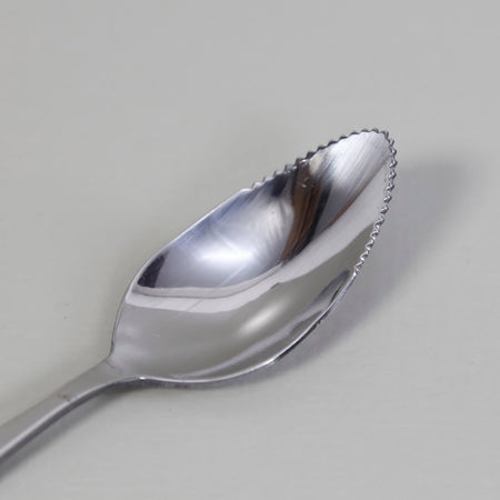 Grapefruit Spoon