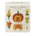 Plantable Box Seed Candles / Half Moon Pumpkin FINAL SALE