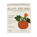 Plantable Box Seed Candles / Half Moon Pumpkin FINAL SALE