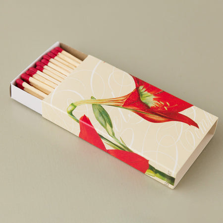 Holiday Design Matchboxes / Amaryllis