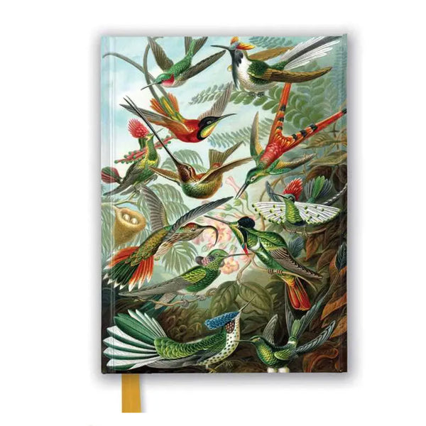 Ernst Haeckel Notebook /  Hummingbirds
