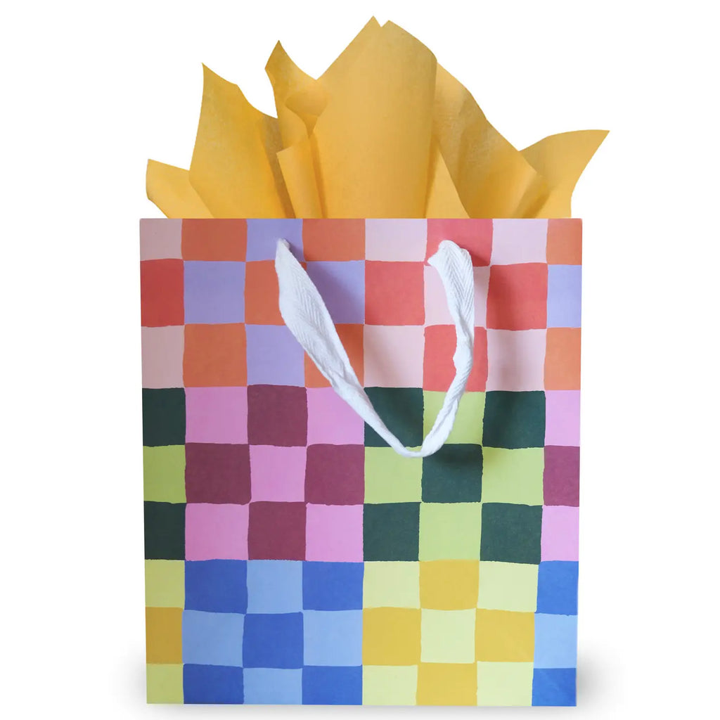 Designer Gift Bag / Rainbow Check Print