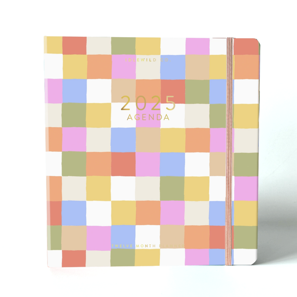 2025 Planner / Rainbow Check FINAL SALE