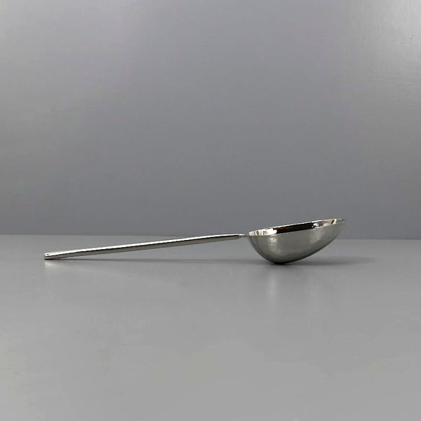 Jupiter Mirrored Stainless Steel Large Serving Spoon