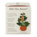 Plantable Box Seed Candles / Half Moon Pumpkin FINAL SALE