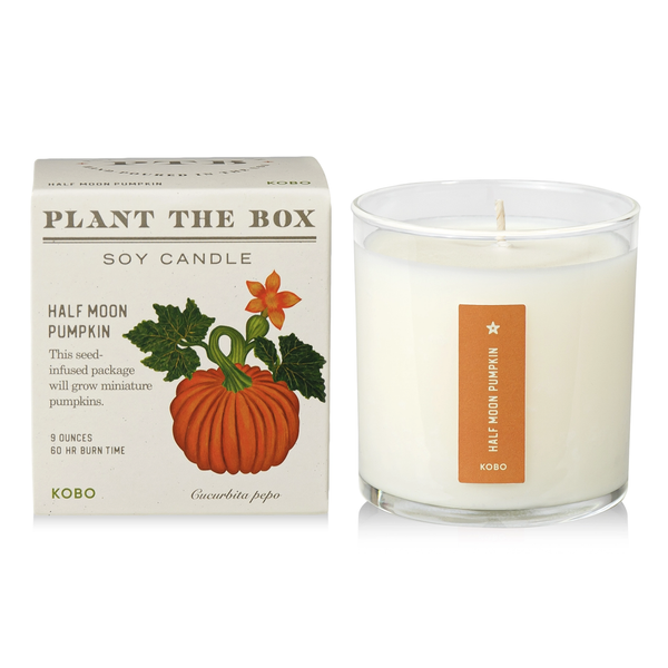 Plantable Box Seed Candles / Half Moon Pumpkin FINAL SALE
