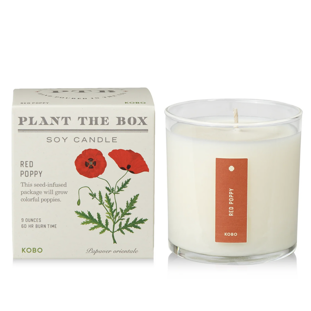 Plantable Box Seed Candles / Red Poppy