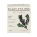 Plantable Box Seed Candles / Rustic Pine