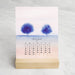 2027 Favorite Story Desk Calendar / Landscapes