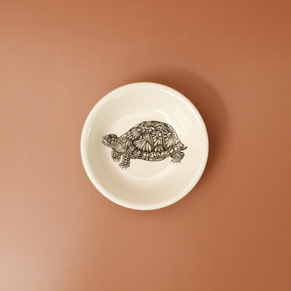 Laura Zindel Sauce Bowl / Box Turtle