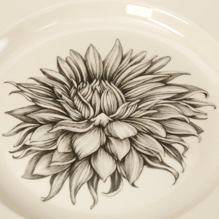 Laura Zindel Dinner Plate / Cactus Dahlia