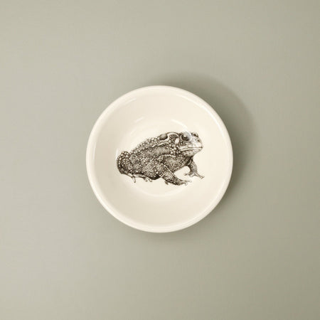 Laura Zindel Sauce Bowl / Toad